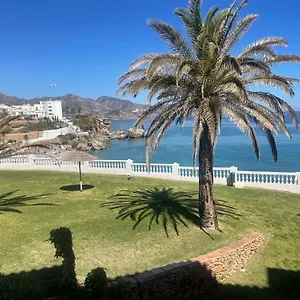 https://palmeras-8-menyber.es-andalucia.com